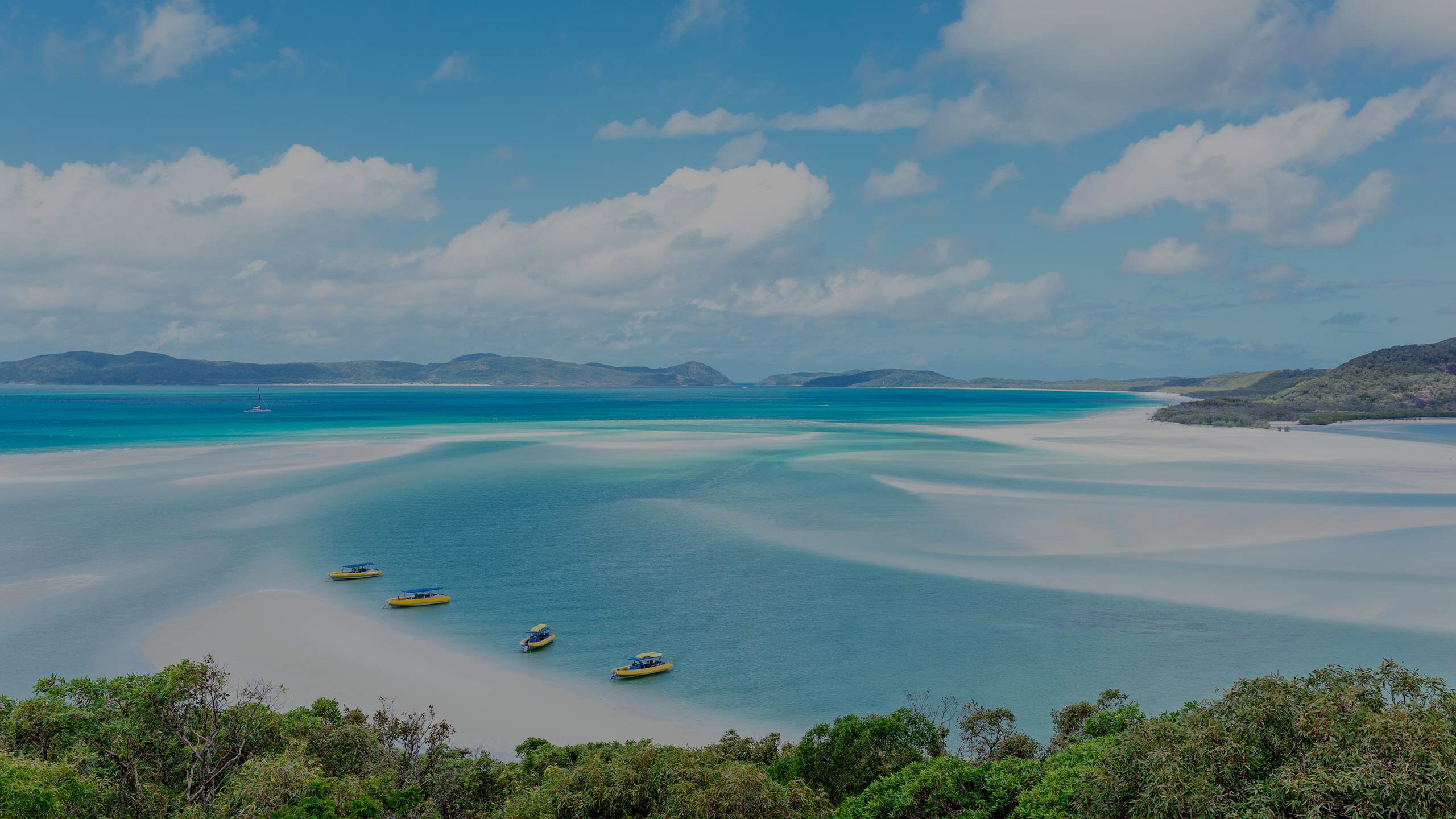 Best Australia New Zealand Cruises 2021 Celebrity Cruises 31464 Hot