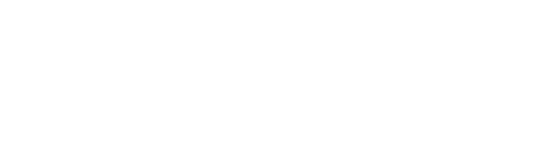 Award for 2019 Silver Award for Website