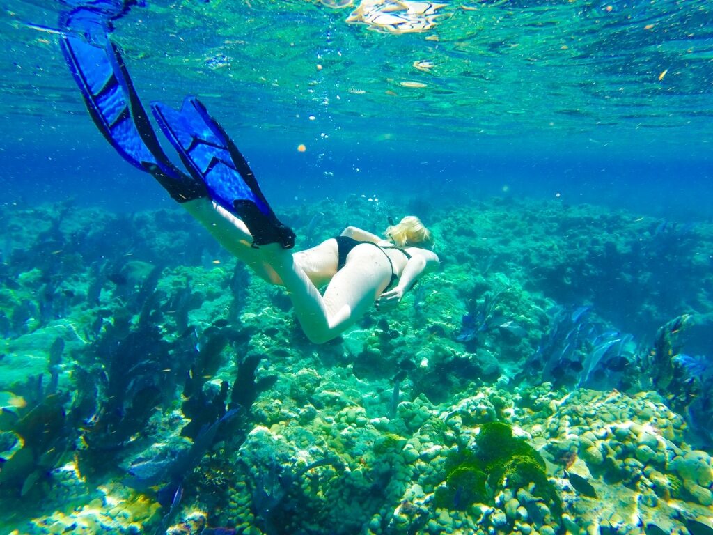 Woman snorkeling along coral reefs