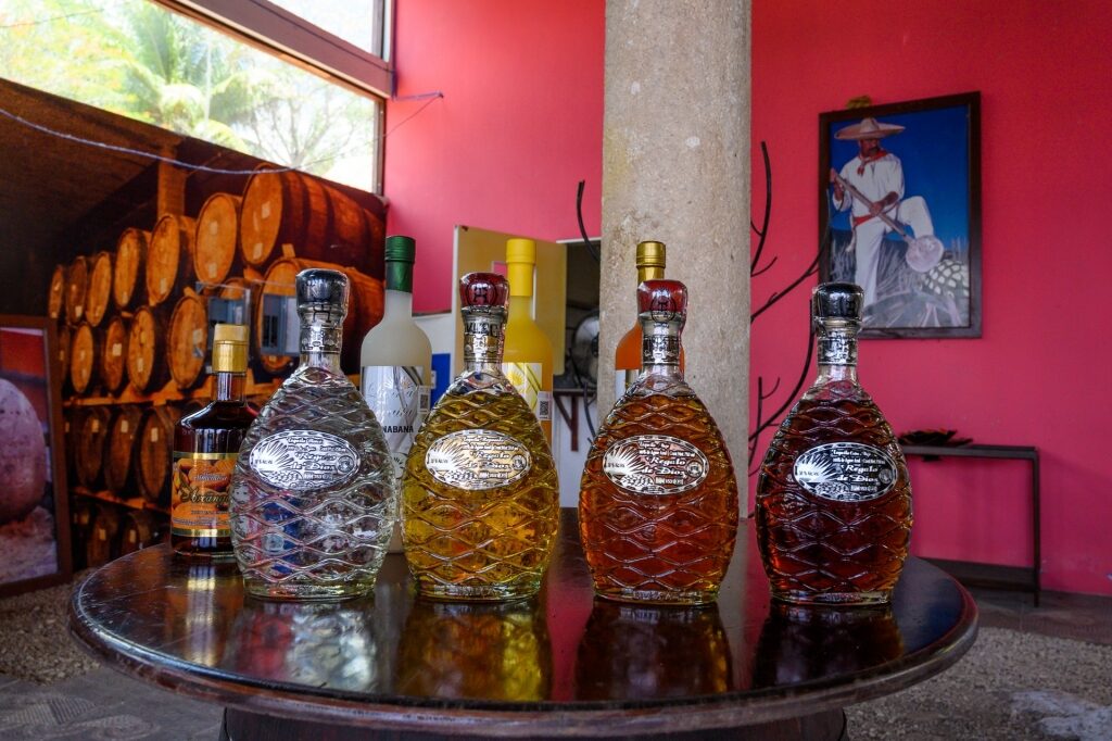Colorful bottles of tequila on a table