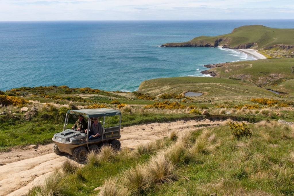 Scenic view in Dunedin