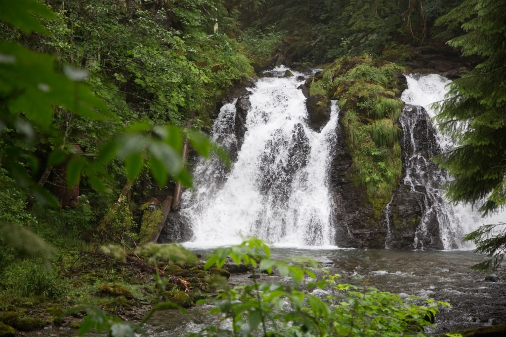 Waterfalls in Salmon Creek