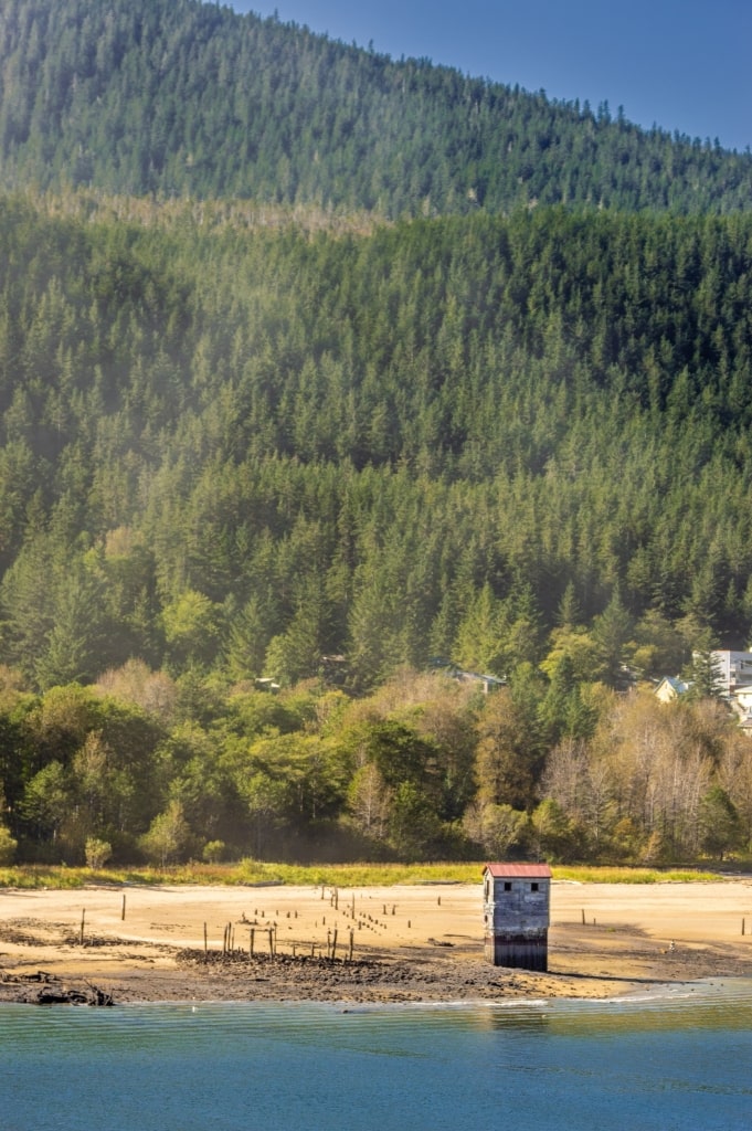 Lush landscape of Treadwell Mine Historic Trail