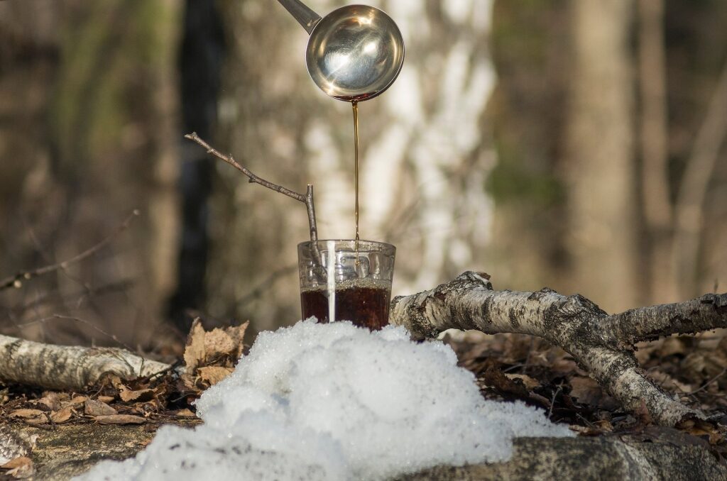 Birch syrup being poured into a glass