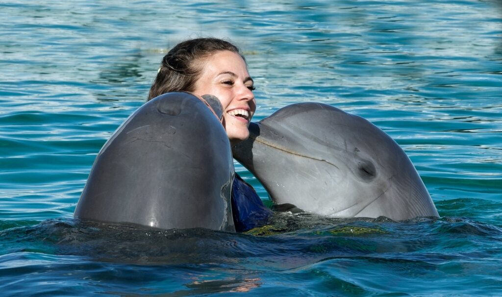 Woman swimming with bottlenose dolphins 