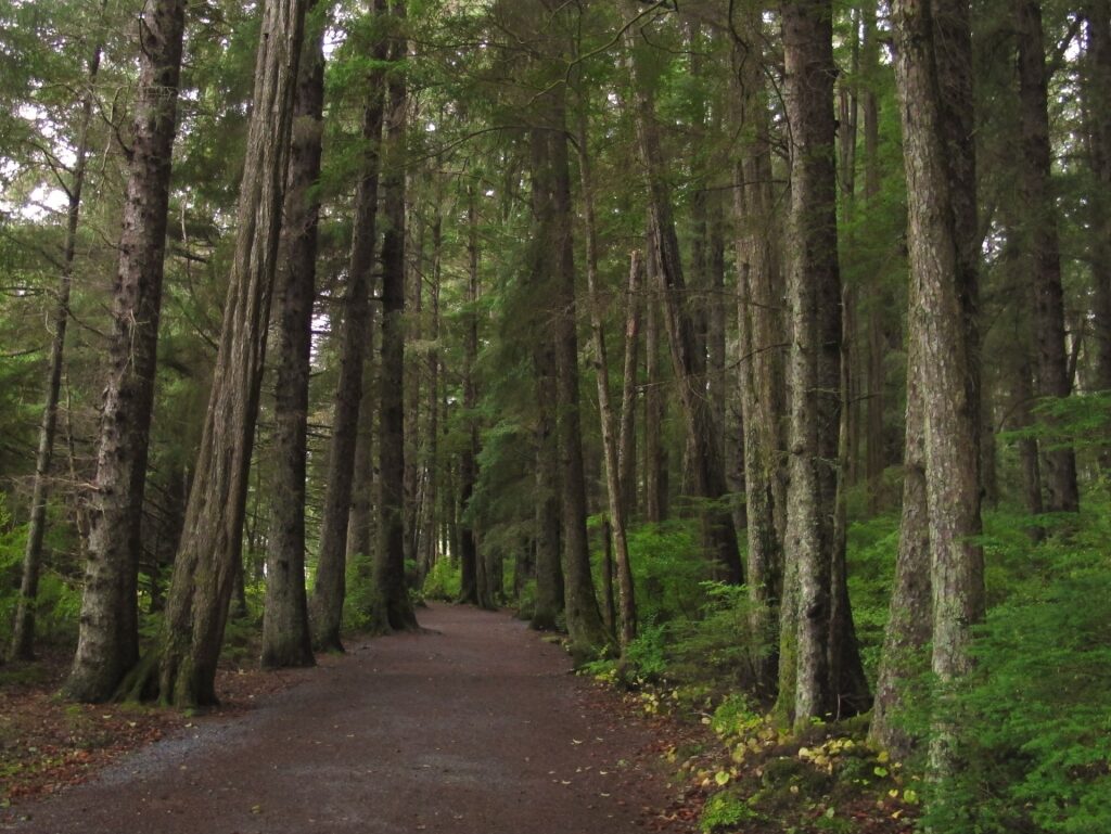 Trail in Sitka National Historical Park