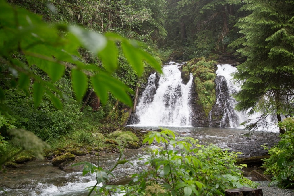 Lush landscape with waterfall in Gold Creek