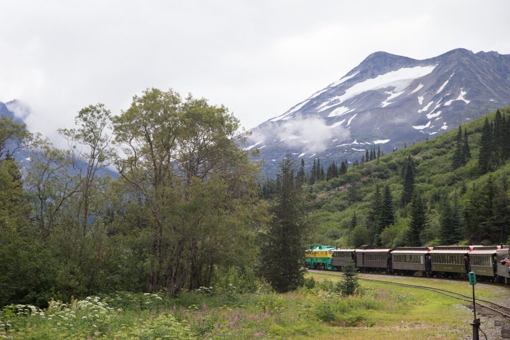 White Pass train in Alaska with snowy mountain and pine trees