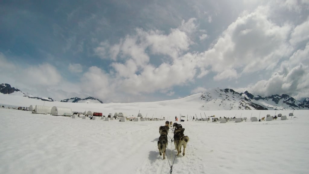 Dog sledding in Skagway