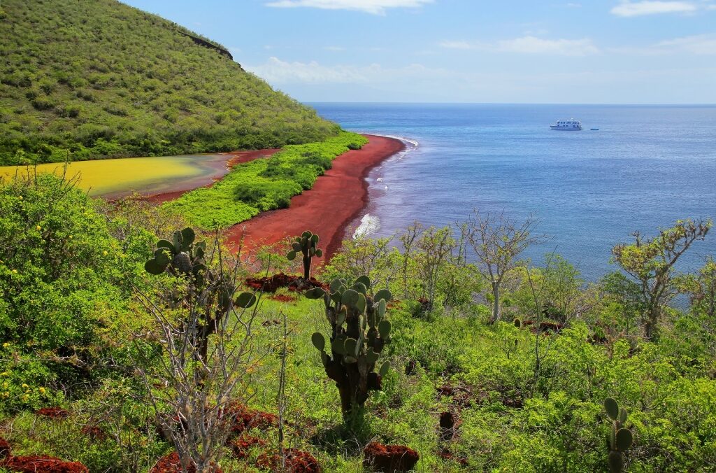 Red beach of Rabida Island in Galapagos