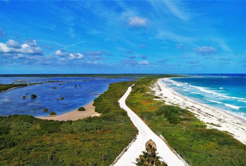 Lush landscape of Punta Sur Eco Beach Park in Cozumel, Mexico