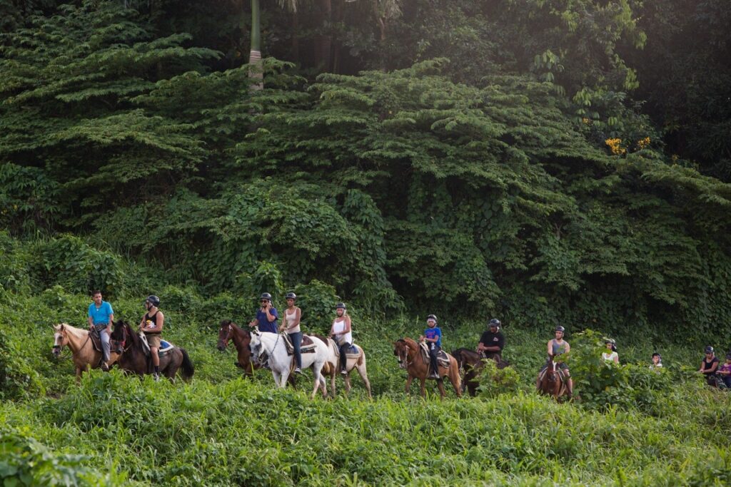 People on a horseback ride adventure in El Yunque, Puerto Rico