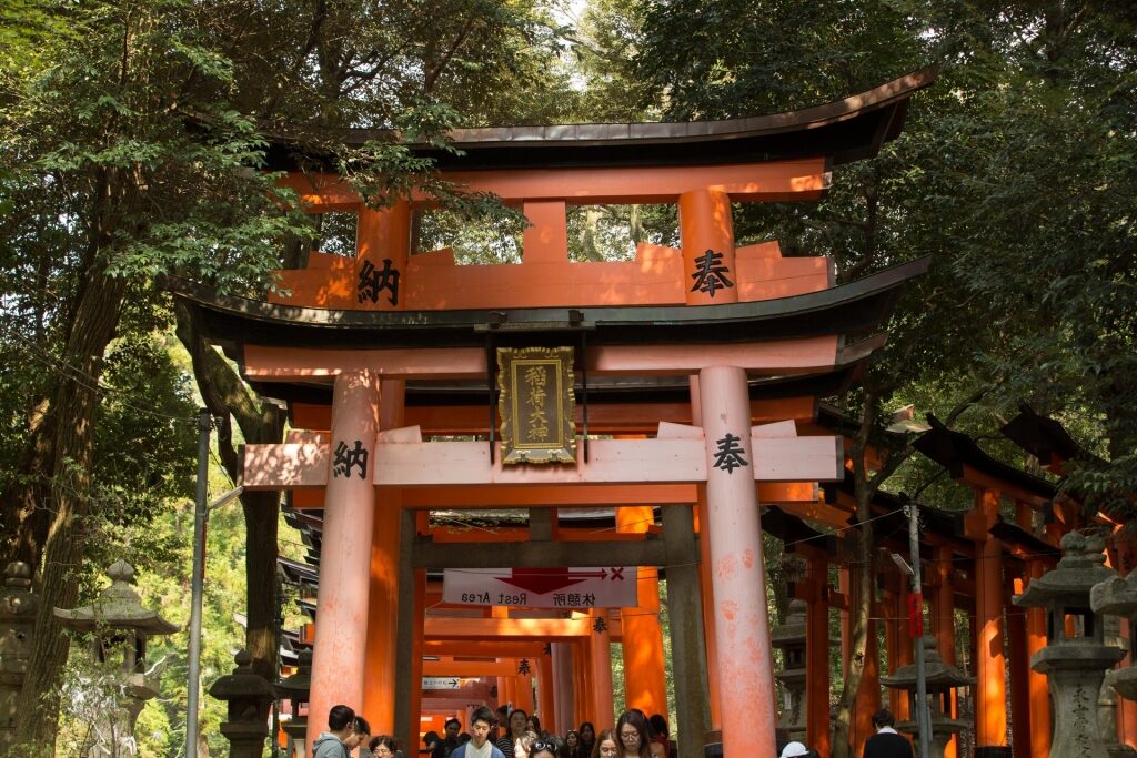 Torii gates of Fushimi Inari Shrine