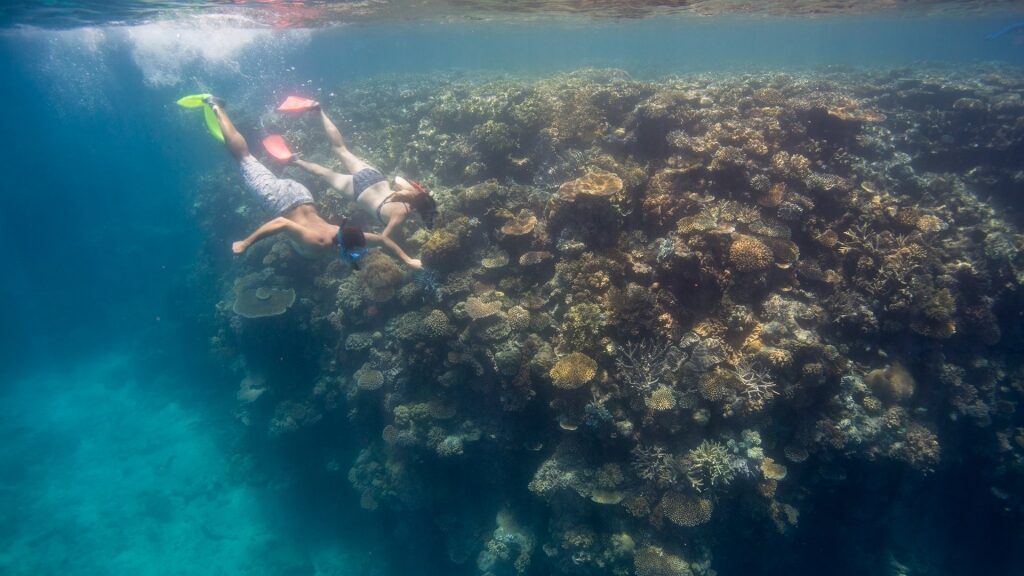 Couple swimming towards massive reefs