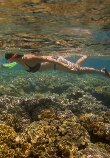 Couple snorkeling in the Great Barrier Reef