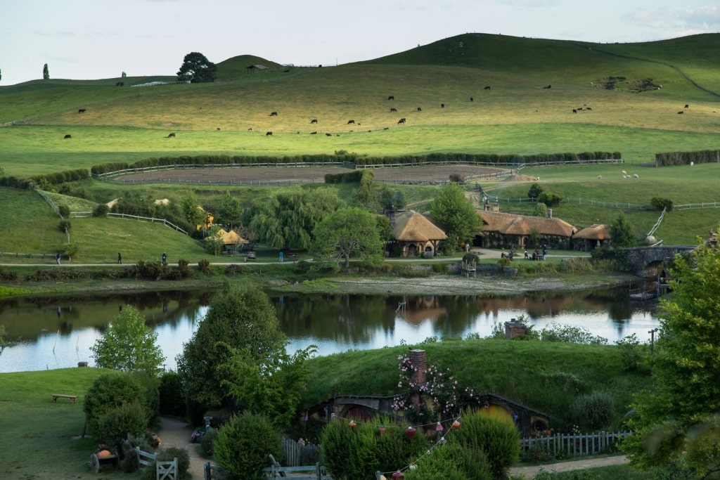 Lush landscape of Hobbiton