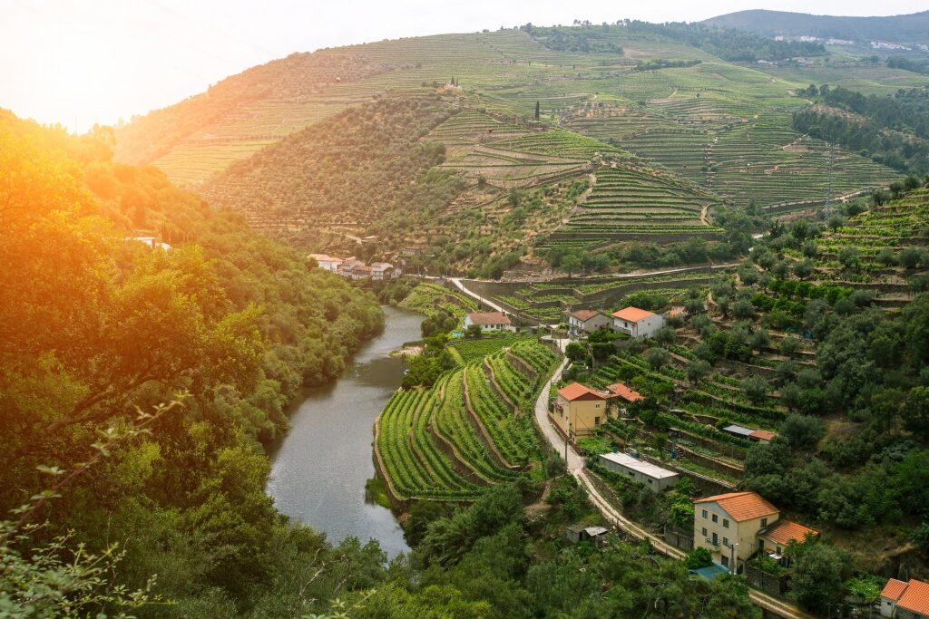 Beautiful Douro Valley, Portugal