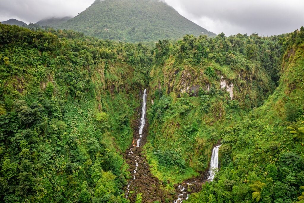 Lush landscape surrounding Trafalgar Falls, Dominica