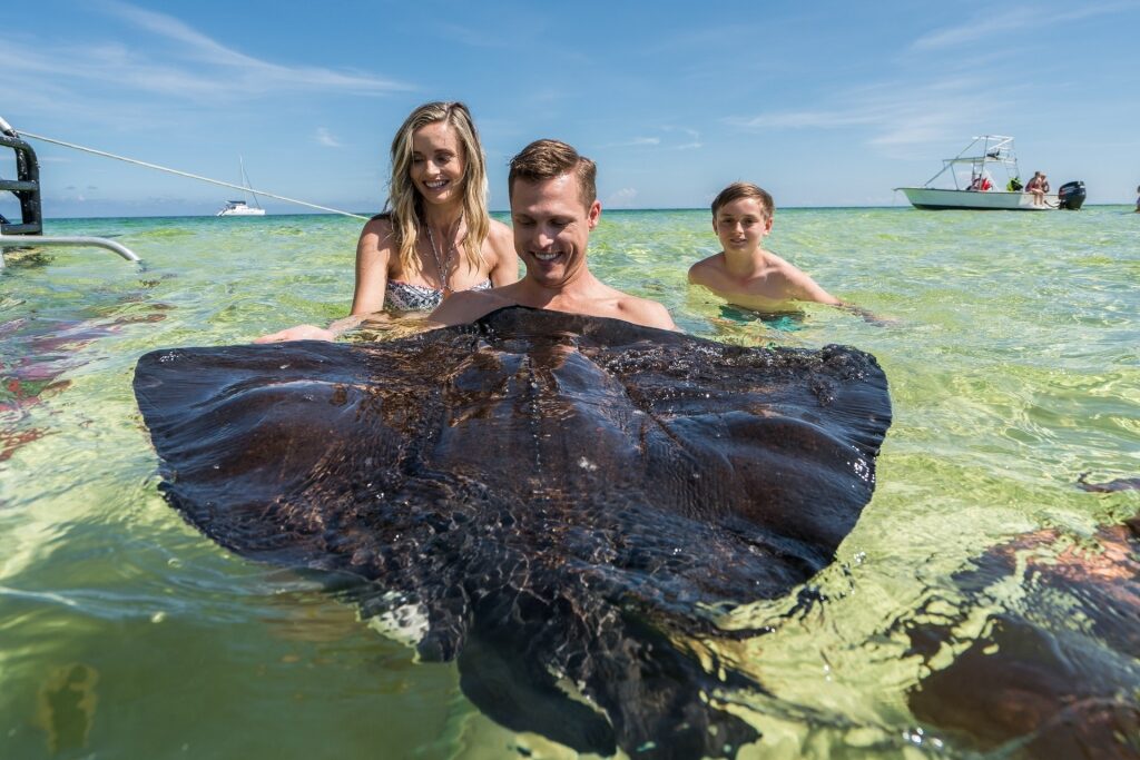 Family playing in Stingray City, Grand Cayman