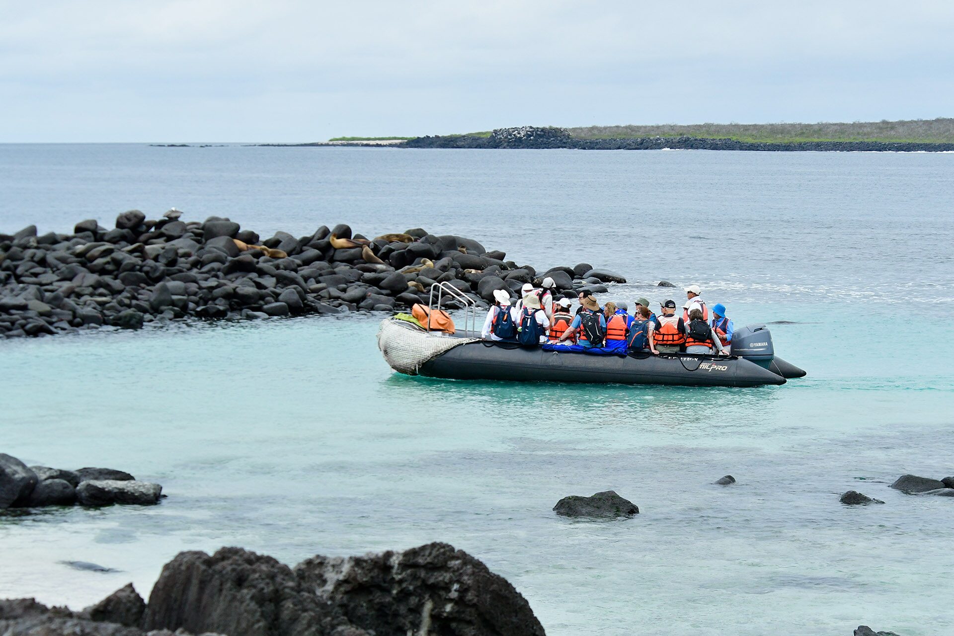 Why Are The Galapagos Islands Unique? Celebrity Cruises