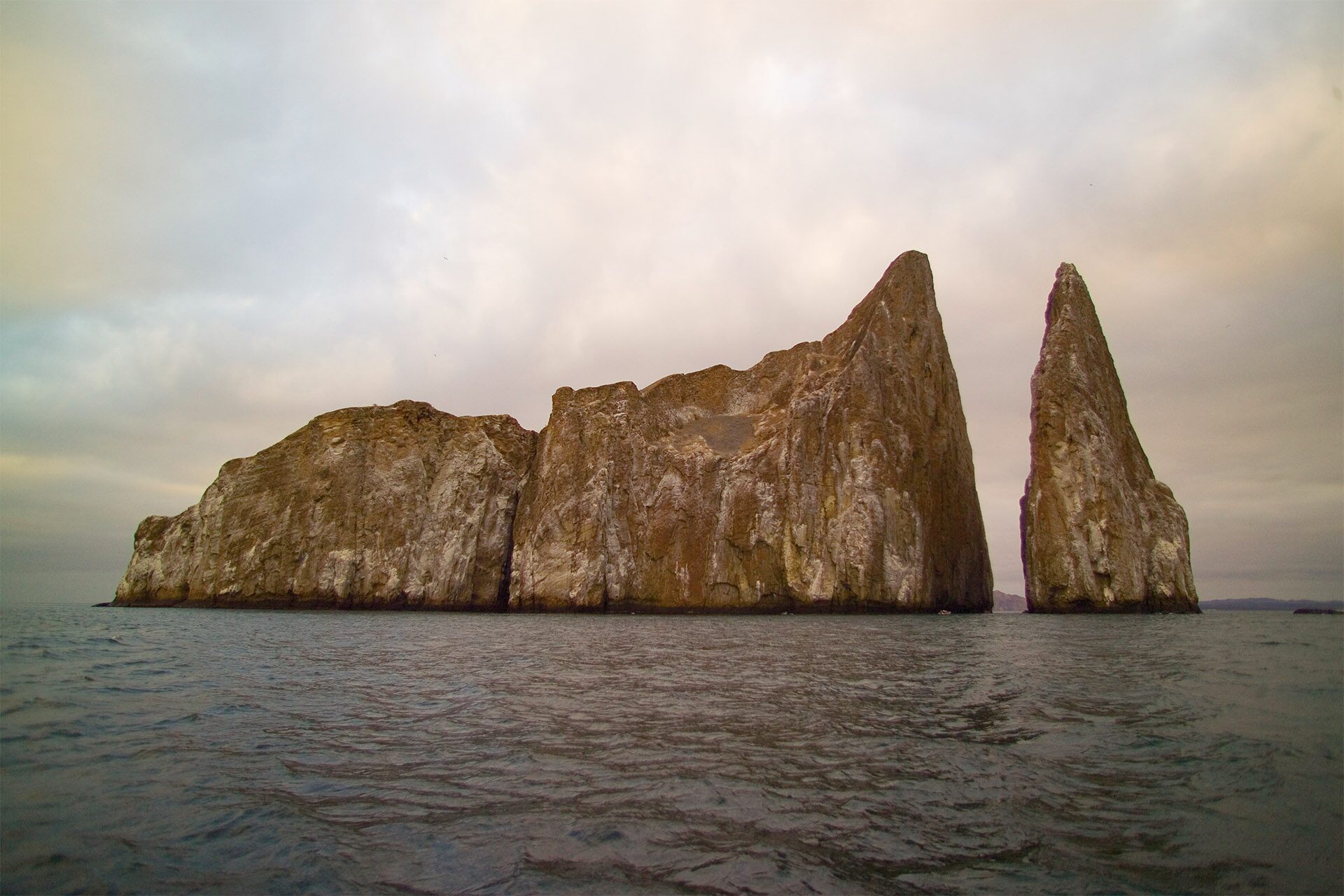 Why Are The Galapagos Islands Unique? Celebrity Cruises