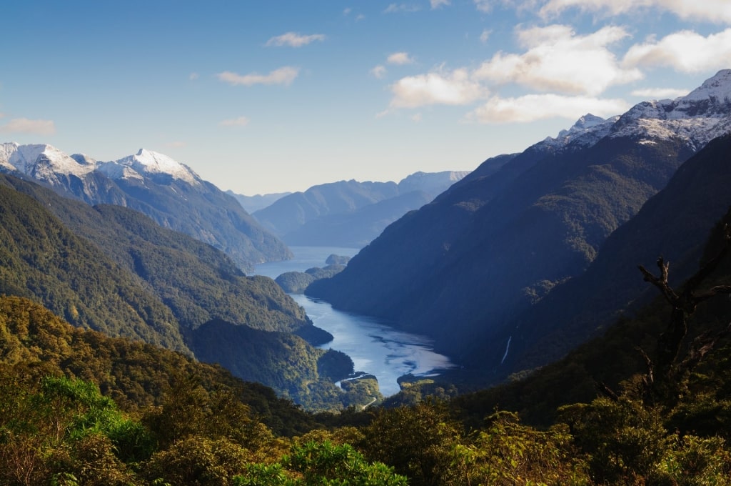 Doubtful Sound view from above