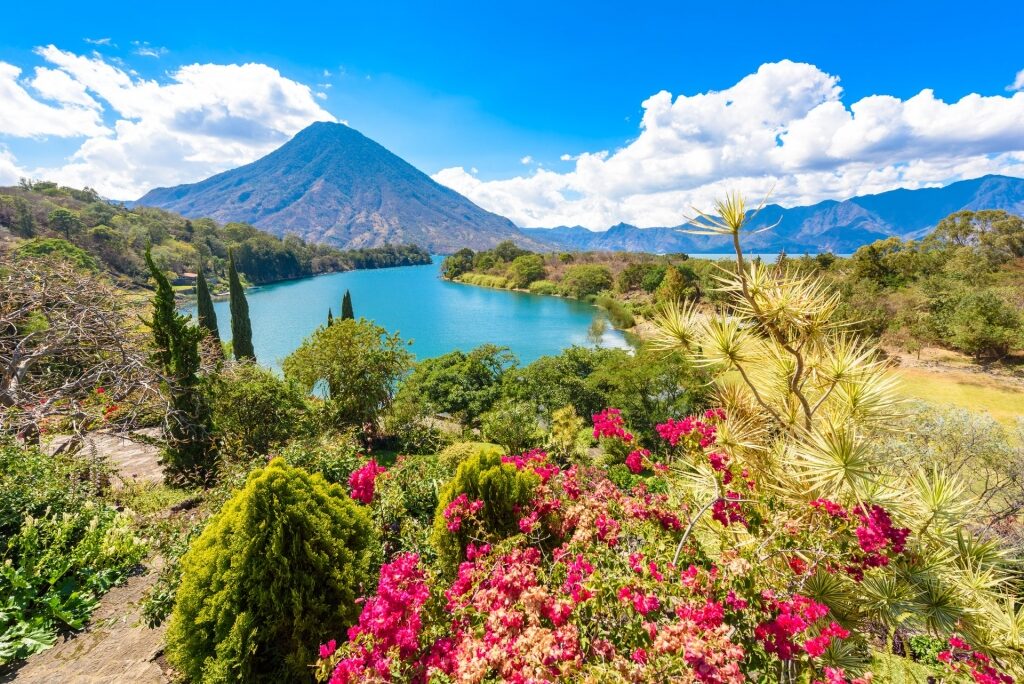 Lush greenery and mountain view in Lake Atitlan