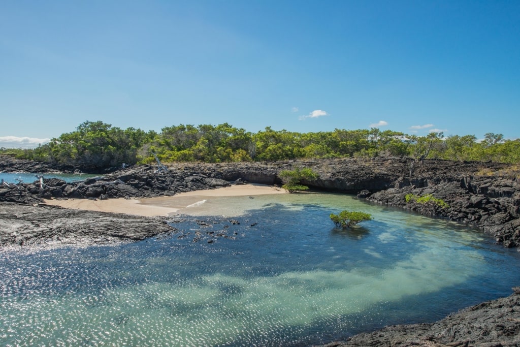 Beach with clear water and rocky shore