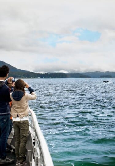 Family watching on deck on an Alaska whale watching cruise