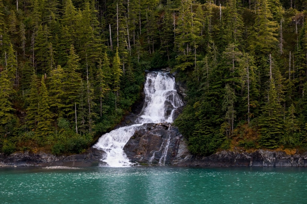 Waterfalls in Endicott Arm Fjord surrounded by tall pine trees