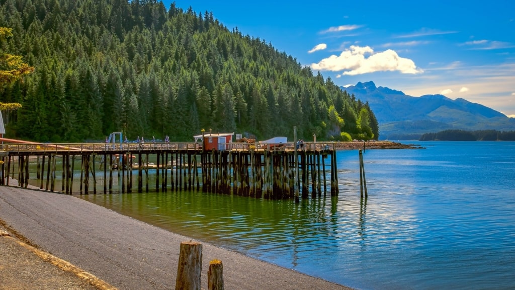 Wooden platform in Icy Straight Point, Alaska including pine trees