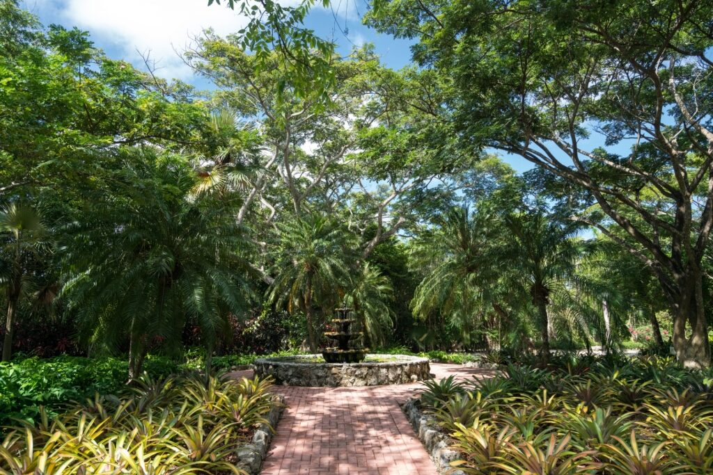 Lush landscape of Queen Elizabeth II Botanical Park, Grand Cayman