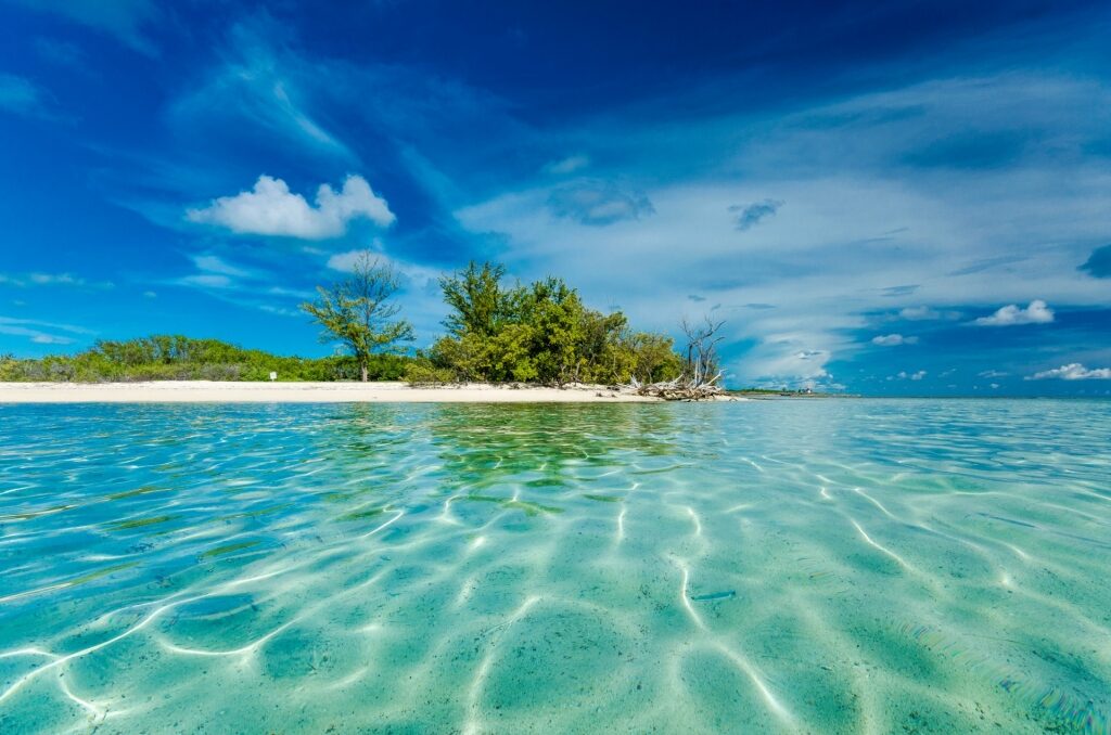 Clear waters of Bimini, Bahamas
