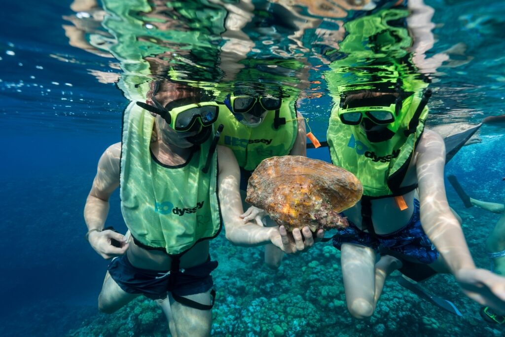 People snorkeling in Grand Cayman