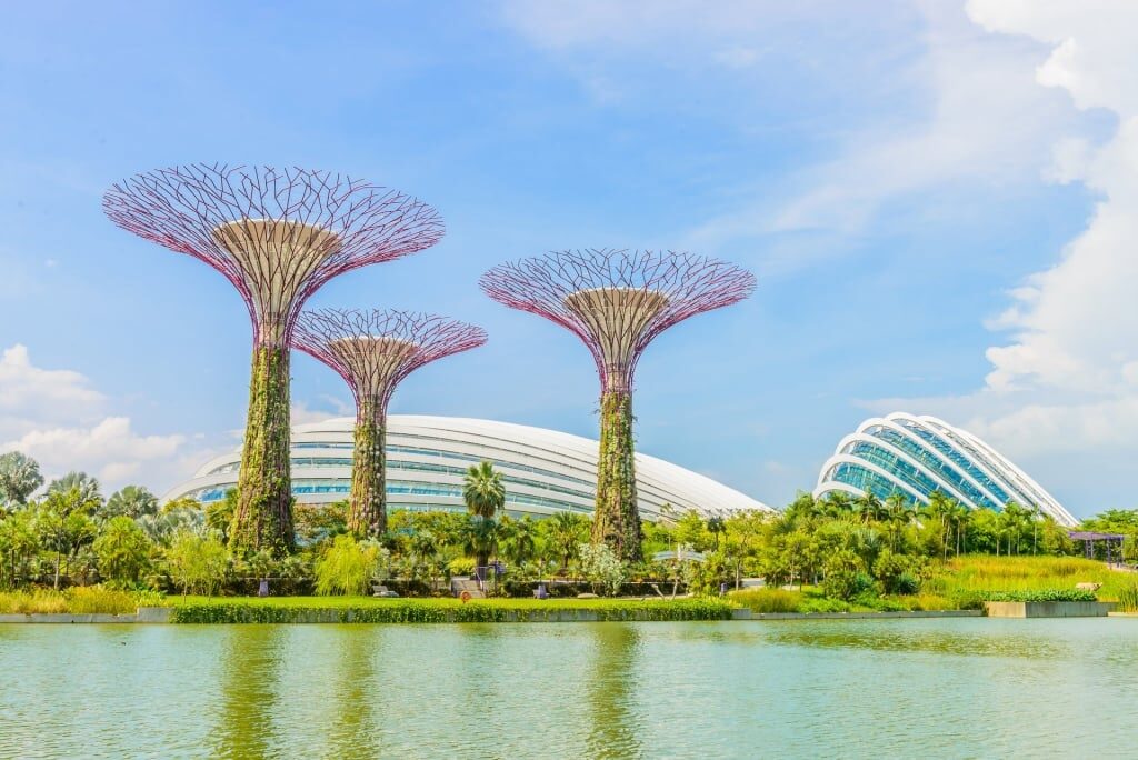 Supertrees in Gardens by the Bay, Singapore