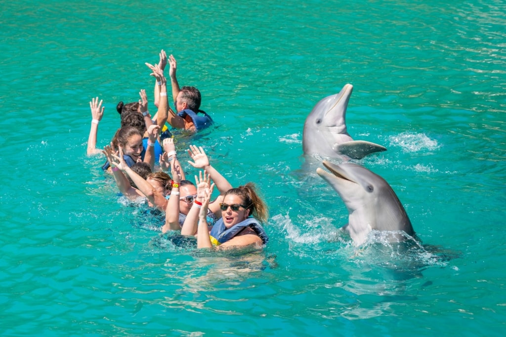 People playing with dolphins at the Blue Lagoon Island