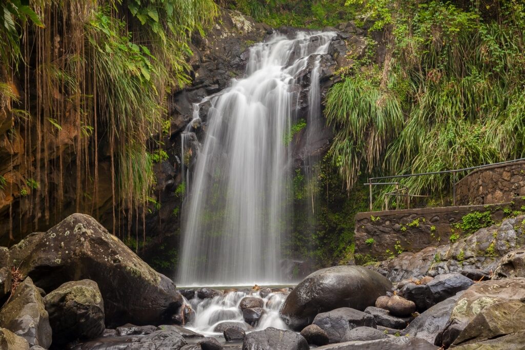 Beautiful Annandale Falls flowing smoothly in Grenada
