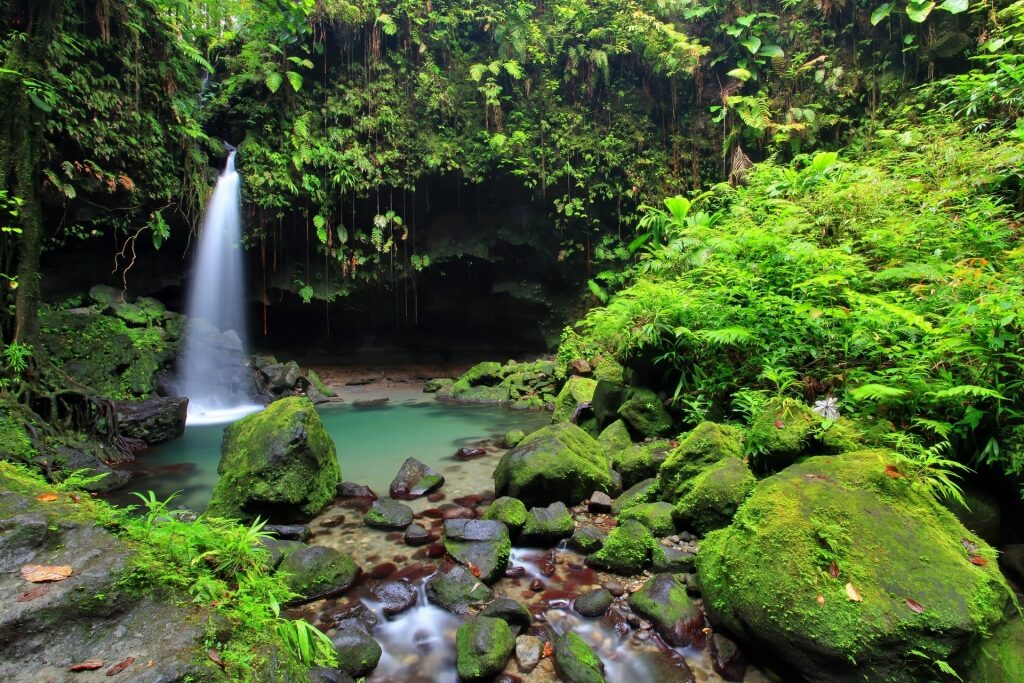 Emerald Falls surrounded by lush greenery in Dominica