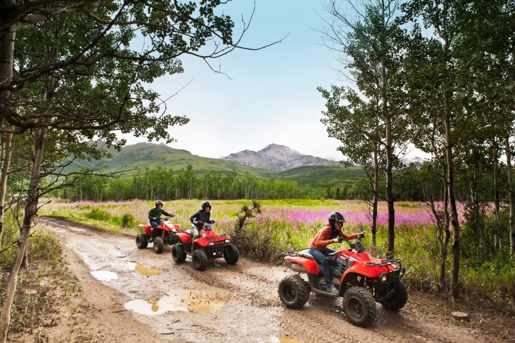 People on an ATV adventure in Denali National Park