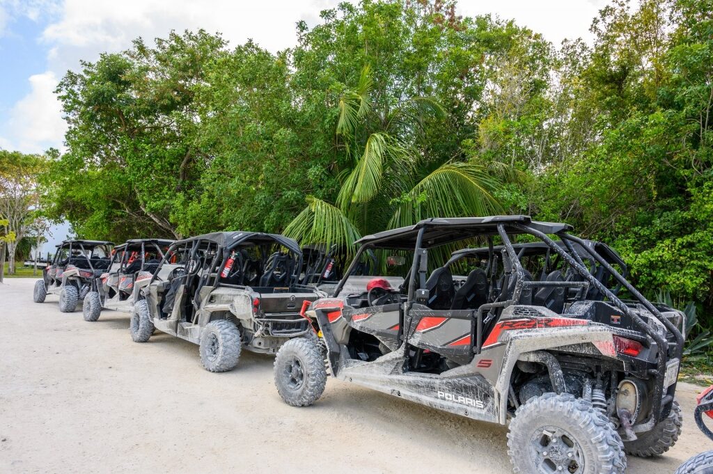 ATV lined up