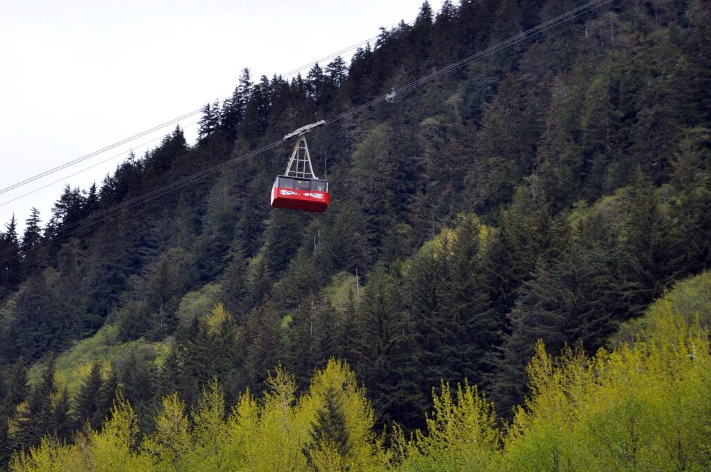 Aerial tramway with pine trees as backdrop