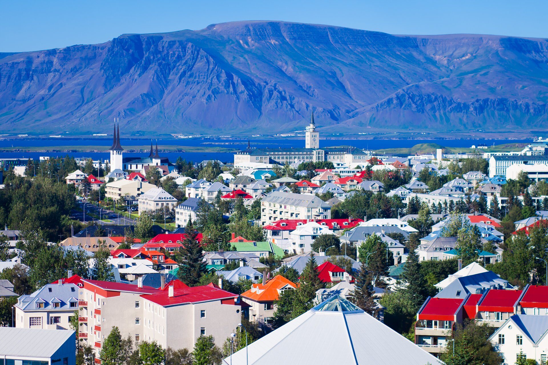 northern lights cruise reykjavik sightseeing