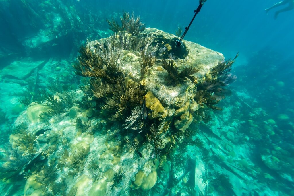 Underwater wreckage in Bermuda beach