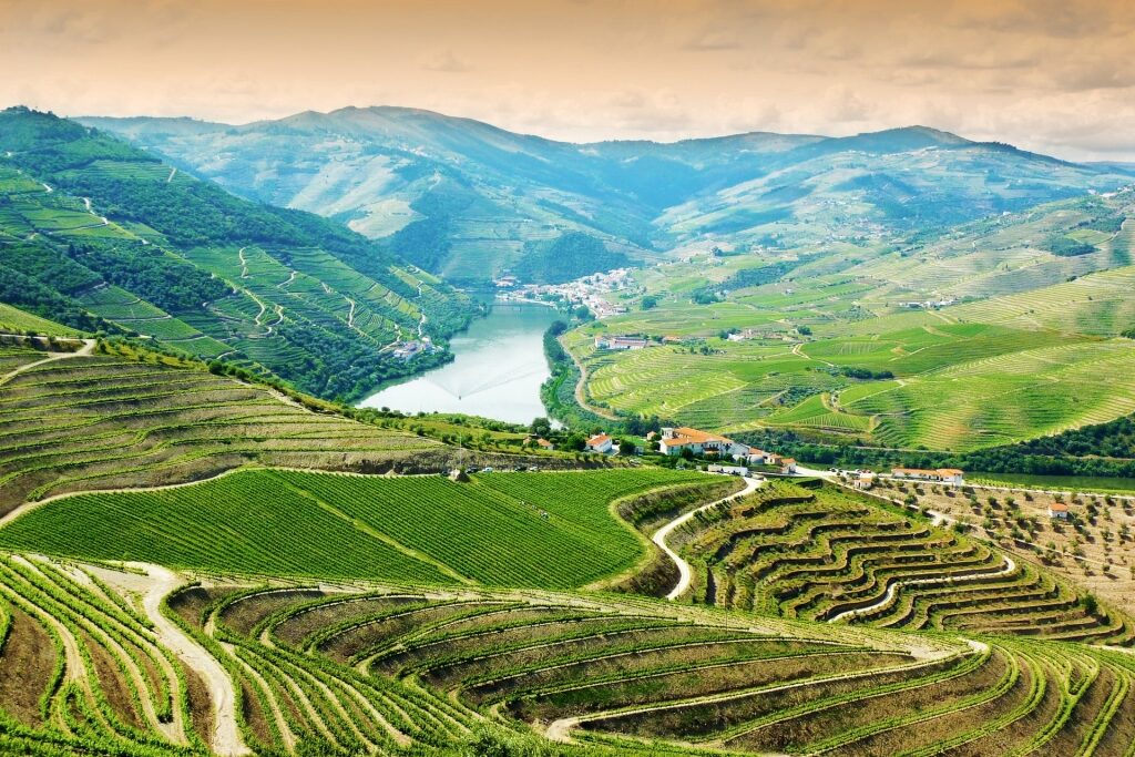 Scenic view of Douro Valley, Portugal