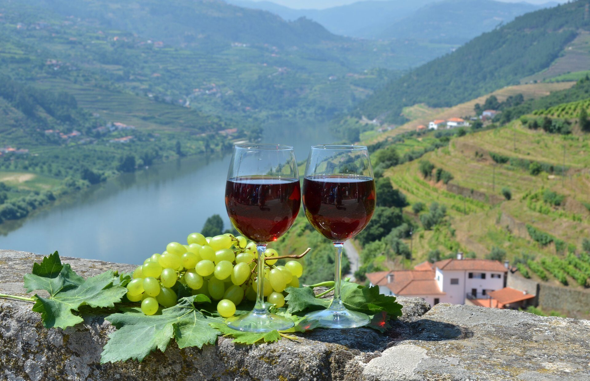 wine travel portugal