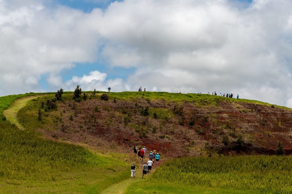 People hiking in Volcanoes National Park