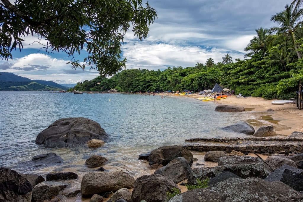 Lush trees towering the beautiful Julião beach, Brazil