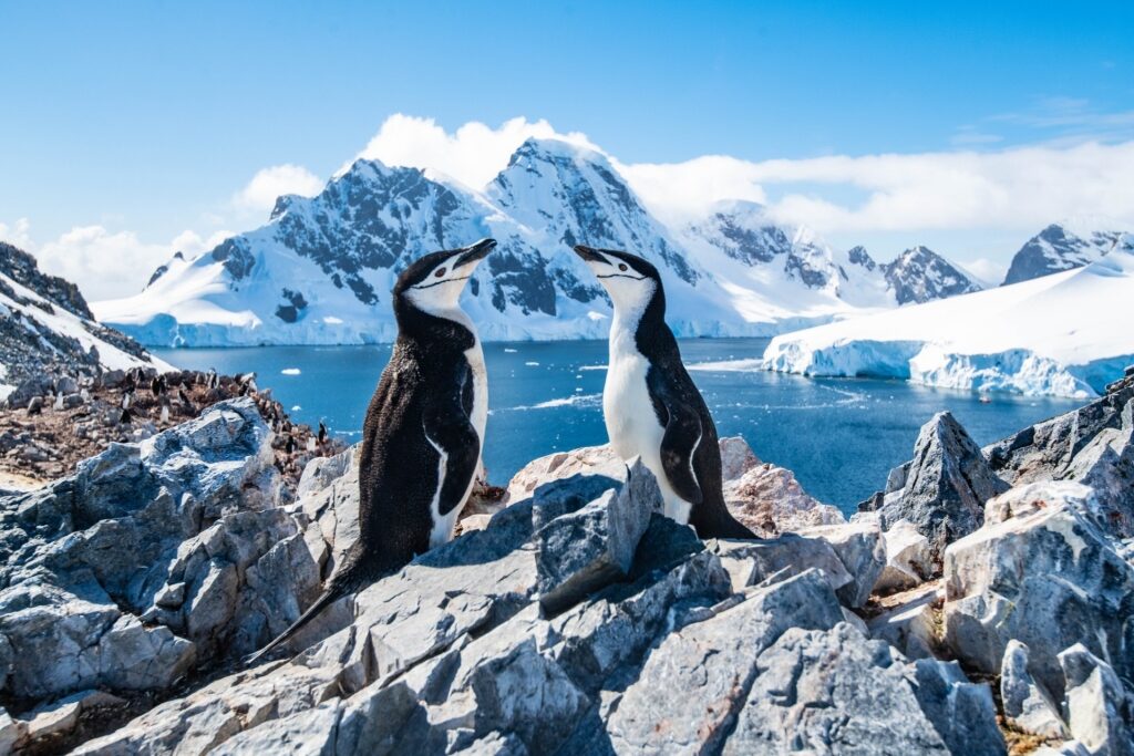 Best cruise destinations - Antarctica