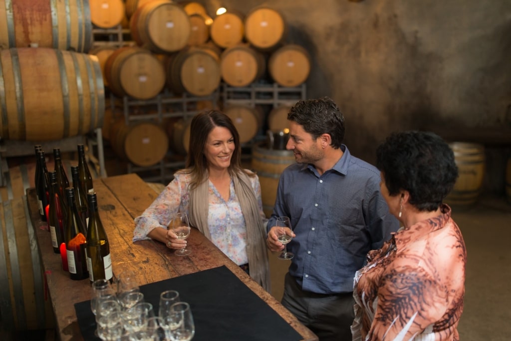 Couple on a wine tasting in New Zealand