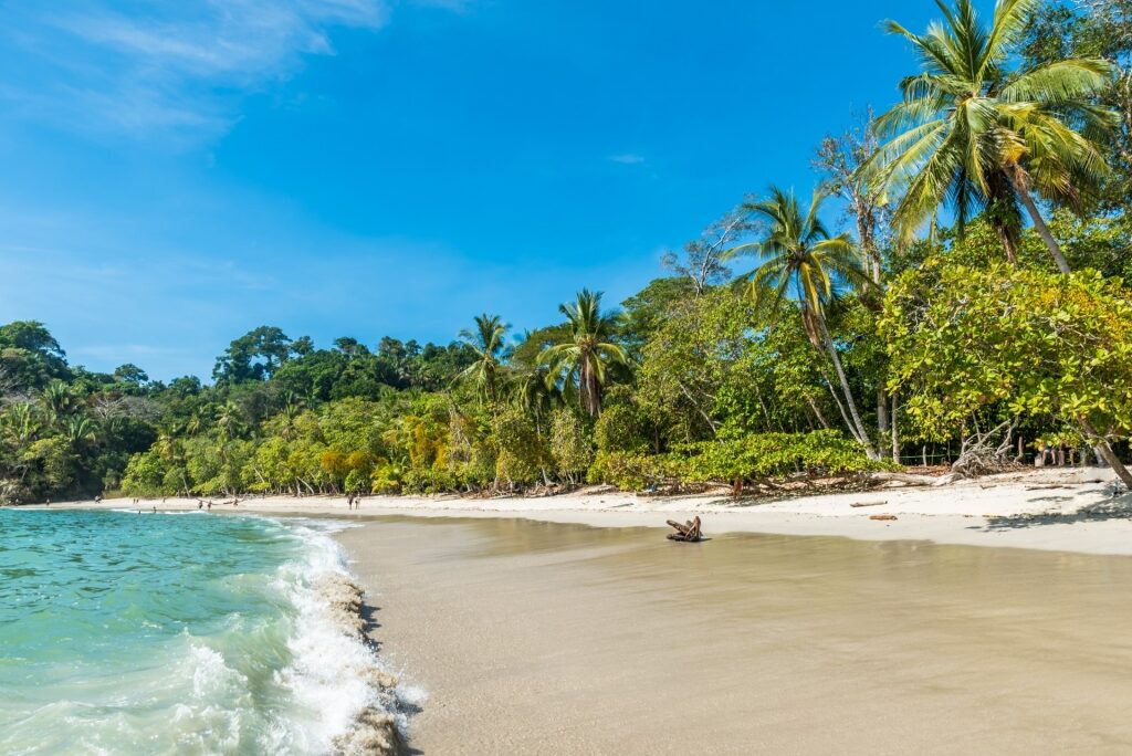 Beach in Manuel Antonio National Park, Costa Rica